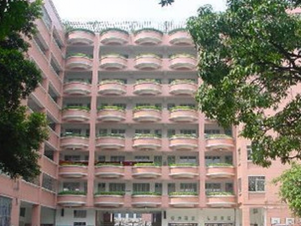 东风西路小学